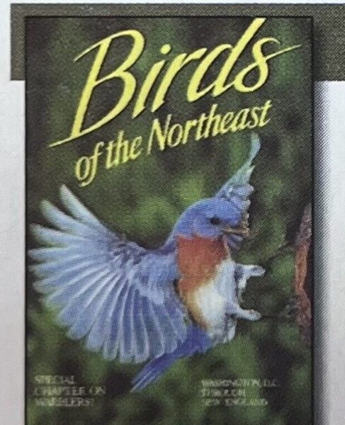 BIRDS OF THE NORTHEAST