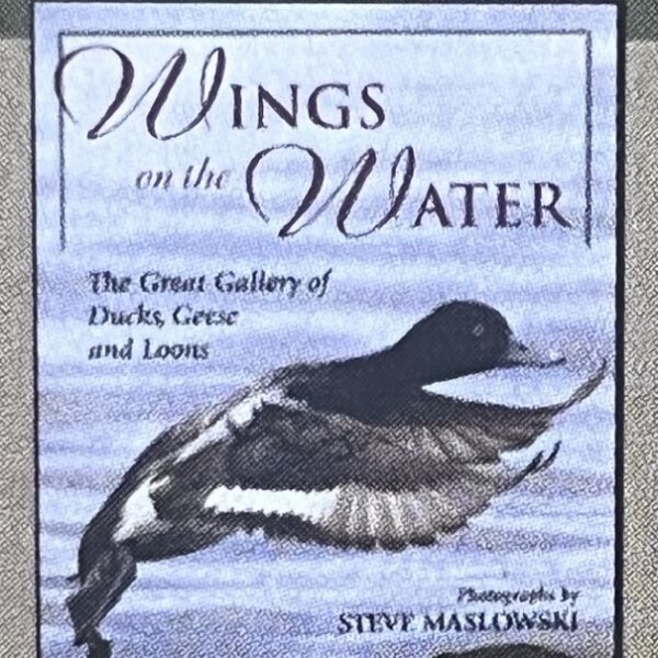 WINGS ON THE WATER